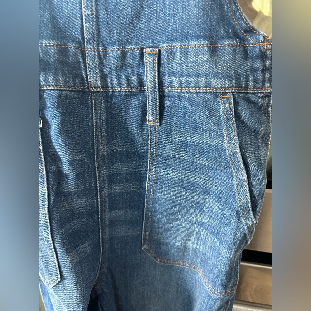 Madewell Skinny Overalls in Jansing Wash - Picture 7 of 9